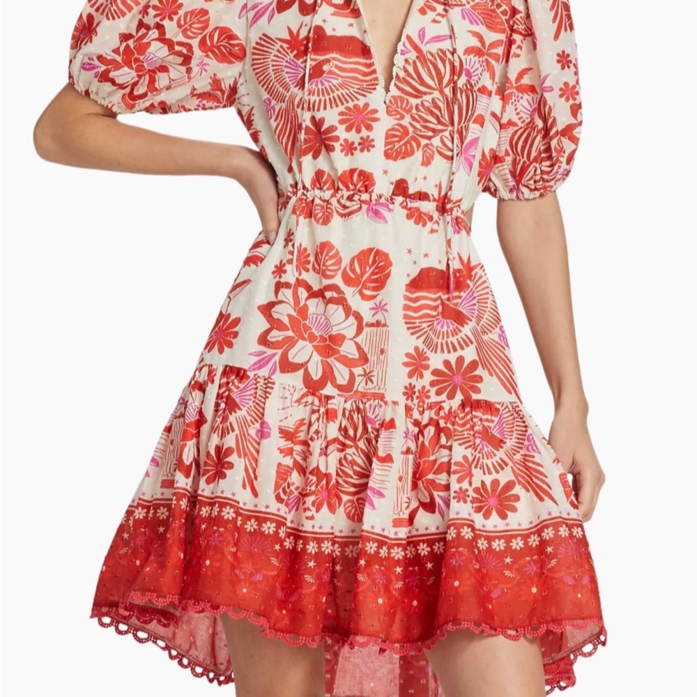FARM Rio Red and Pink Floral Mini Dress